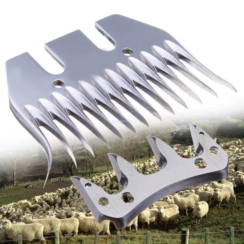 Sheep Shearing – Pauline Bolay