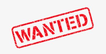 WANTED – LGD Pup