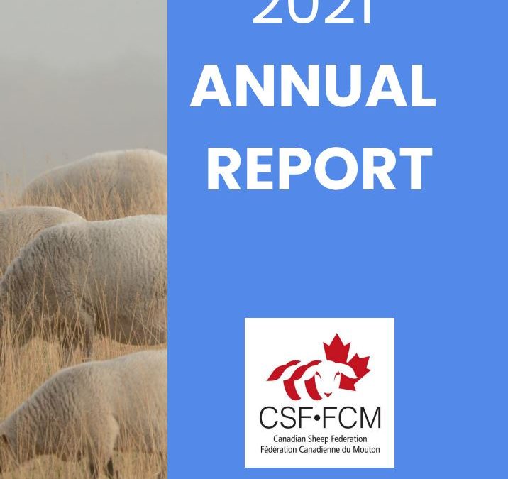 2021 CSF Annual Report