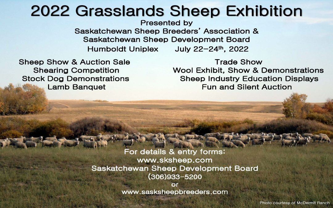 2022 Grasslands Sheep Exhibition