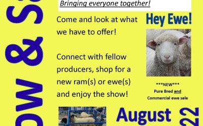 MB Sheep 2022 Show & Sale – Details Announced
