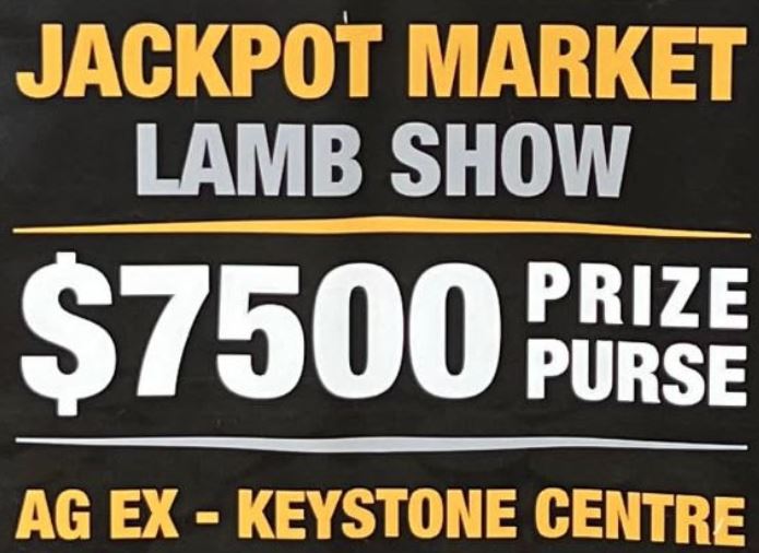 MSA Jackpot Market Lamb Show Details